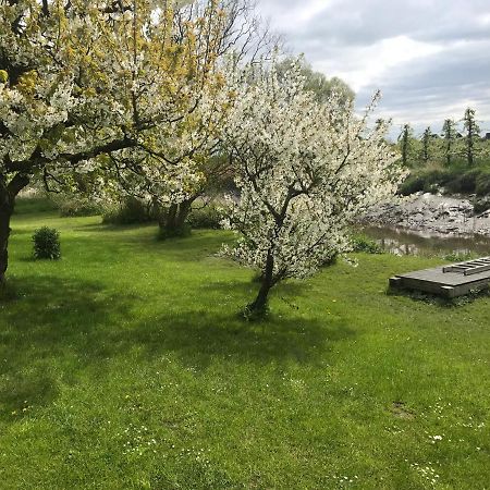 Gaestehaus Weidenkoerbchen Jork Exteriör bild