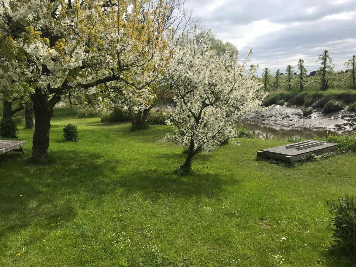 Gaestehaus Weidenkoerbchen Jork Exteriör bild